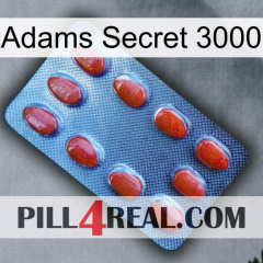 Adams Secret 3000 06